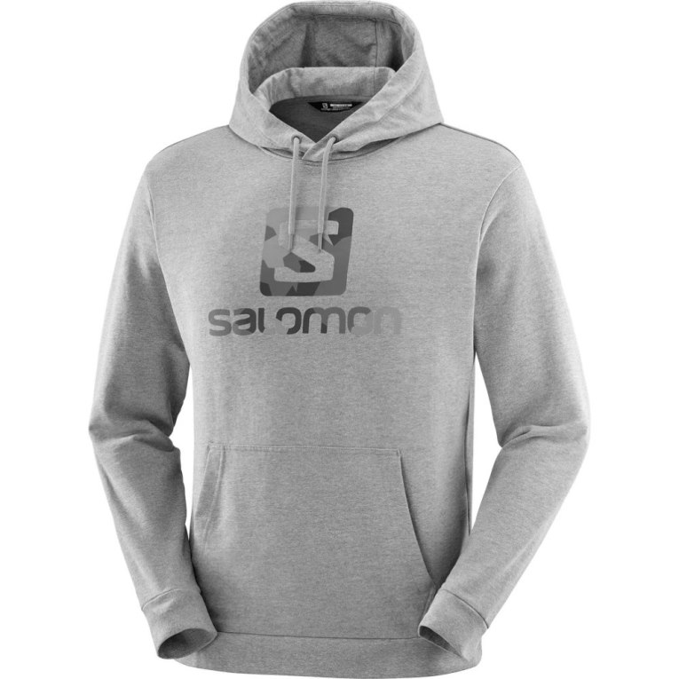 Dámské Mikiny S Kapucí Salomon Outlife Logo Summer Heather Šedé | CZ 92LHBAS